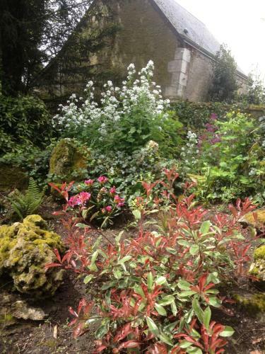 Bed & Breakfast Le Belv�d�re