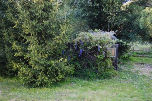 Bed & Breakfast Maison D'h�tes Le Moulin Pointu
