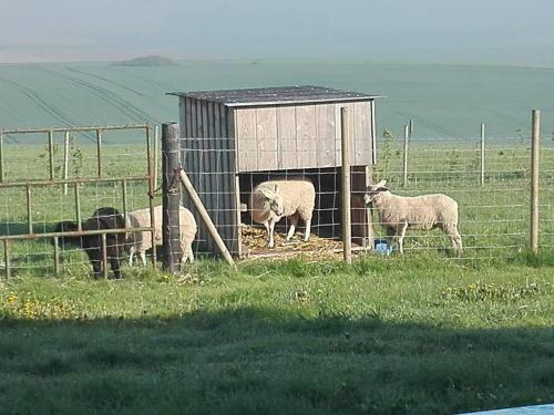 Hostal Maison D'h�tes La Ferme Du Grand Air