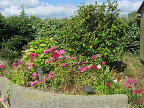 Bed & Breakfast La Robini�re