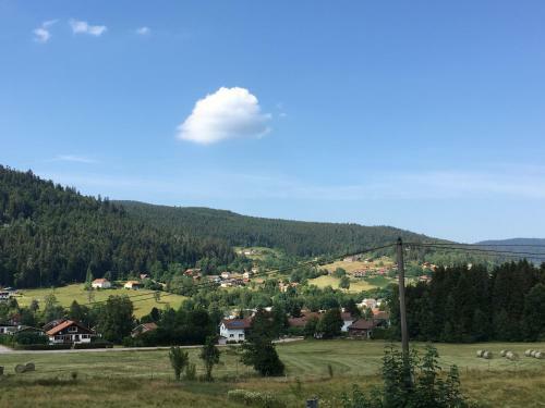 Chalet Du Tremplin - 4 � 5 Pers- Tout Confort- Xonrupt-longemer