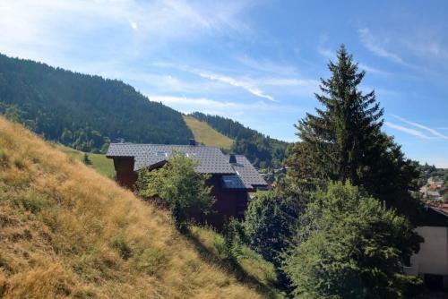 Apartamento 2 Pi�ces 6 Pers Centre Station (Gv211)
