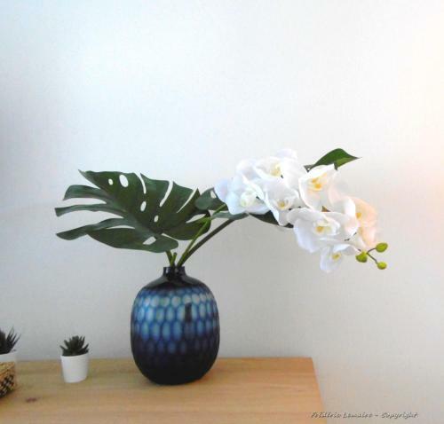 Apartamento Cap Houses Fleur de Mer