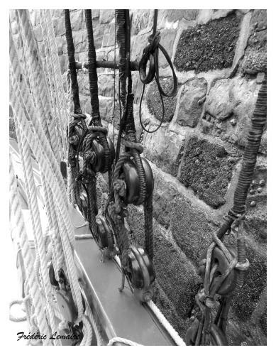 Apartamento Cap Houses Fleur de Mer