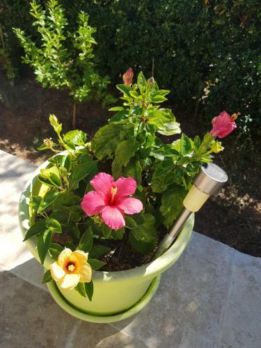 Hostal Villa Esmeralda