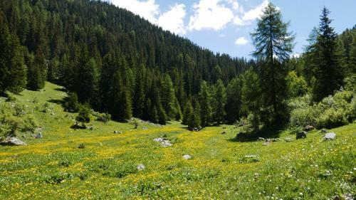 Chalet La Plagne