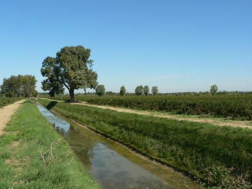 Hostal Chambres D'h�tes Domaine de Beaupr�