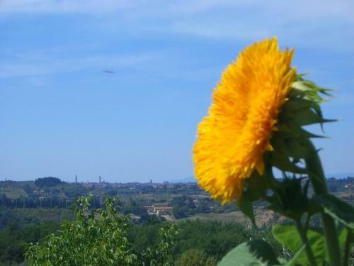 Apartamento Casa Vacanze In Geggiano