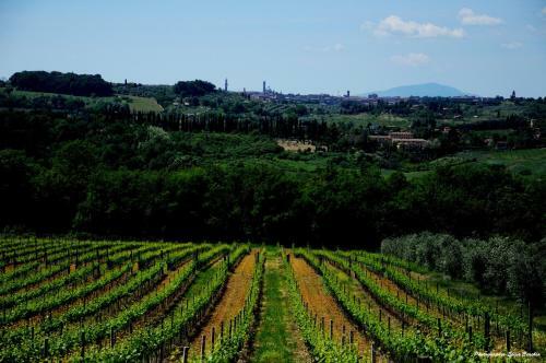 Apartamento Casa Vacanze In Geggiano