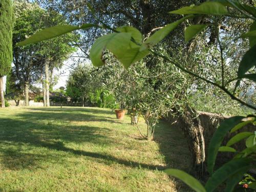 Agroturismo Agriturismo Miscianello