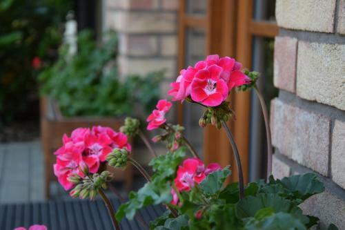 Hostal Penzion Port B�tov