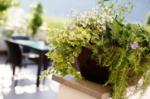 Bed & Breakfast Garni Appartment Wagnerhof