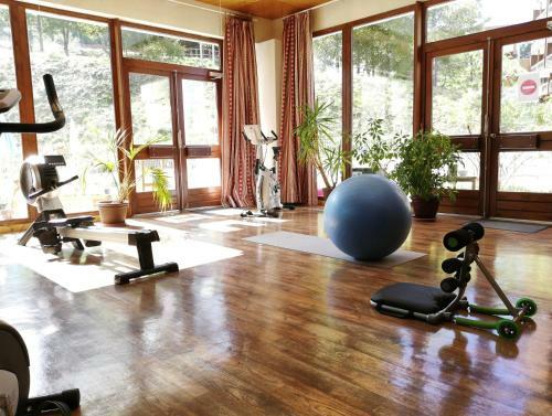 Aparthotel R�sidence Go�lia Les Terrasses Du Corbier