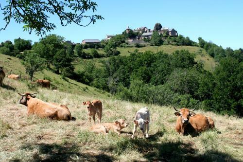 Posada La Vieille Auberge