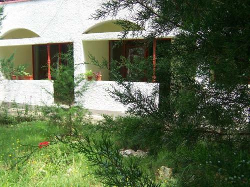 Hostal Pensiunea Ruxandra