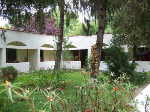 Hostal Pensiunea Ruxandra