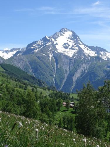 Apartamento Ansloboys Montagne A2