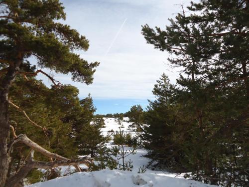 Apartment Face Aux Pistes