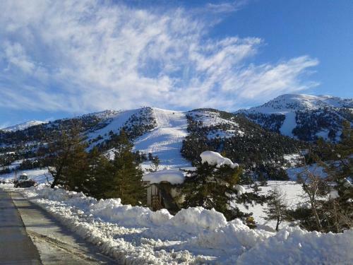 Apartment Face Aux Pistes
