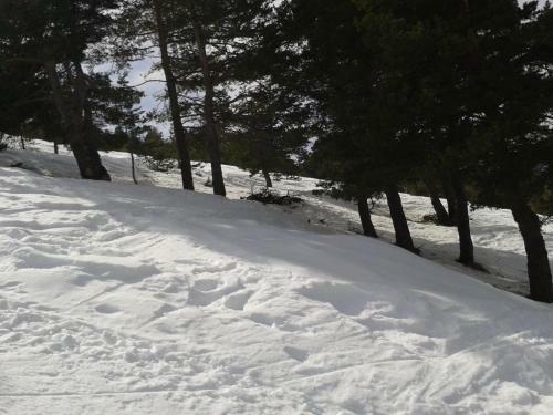 Apartment Face Aux Pistes