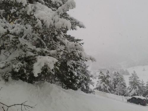 Apartment Face Aux Pistes