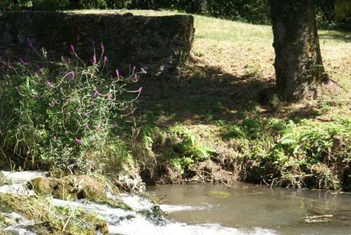 Bed & Breakfast Moulin de Champrond -montmirail -sarthe