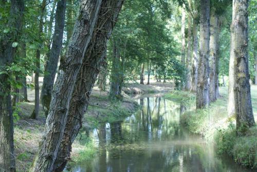 Bed & Breakfast Moulin de Champrond -montmirail -sarthe