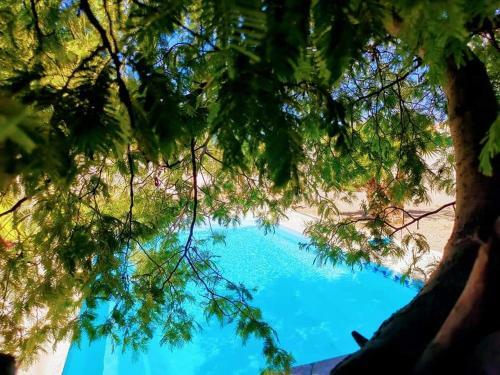 Villa Napol�on Piscine&jacuzzi