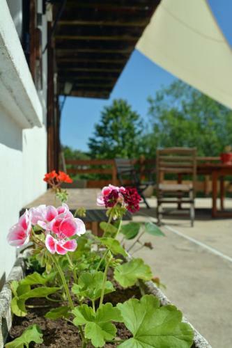 Bed & Breakfast Echo Des Montagnes