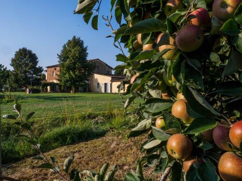 Agroturismo Foresteria Il Giardino Di Fontarronco