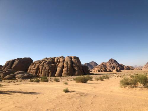 Tours And Bedouin Traditions