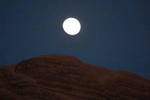 Tours And Bedouin Traditions
