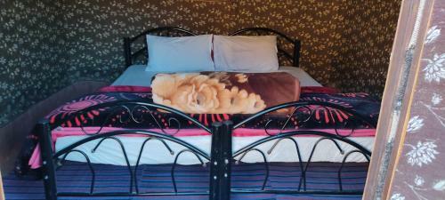 Wadi Rum Desert Eid Camp & Cave & Tours