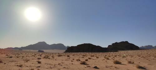 Wadi Rum Desert Eid Camp & Cave & Tours