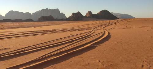 Wadi Rum Desert Eid Camp & Cave & Tours
