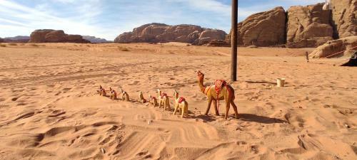 Wadi Rum Desert Eid Camp & Cave & Tours