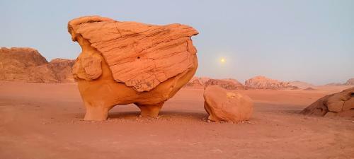 Wadi Rum Desert Eid Camp & Cave & Tours