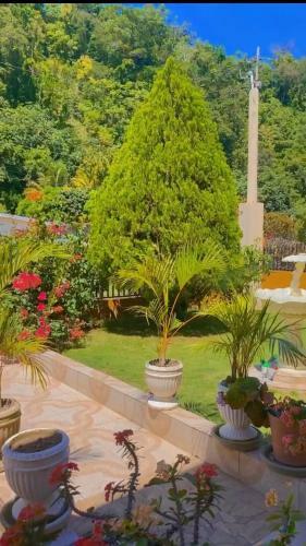 Windbreak Villa