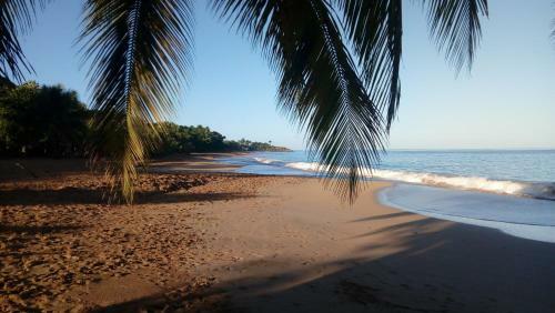 Gite � 2 Pas de La Flamboyante Plage de La Perle