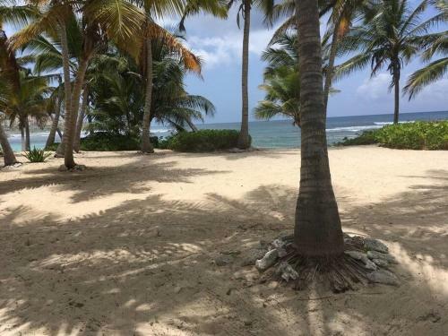 Your Home Away From Home Christiansted Condo With AC