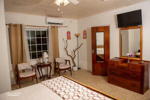 Bed & Breakfast Treasure Beach Inn And Bar