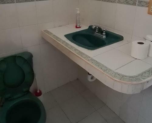 Alipal - Wonderful Private House. Garden And Pool