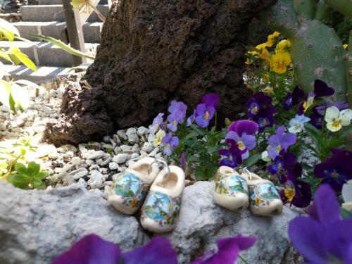Bed & Breakfast Etma