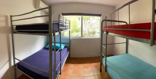 Albergue Dolphins Beach House