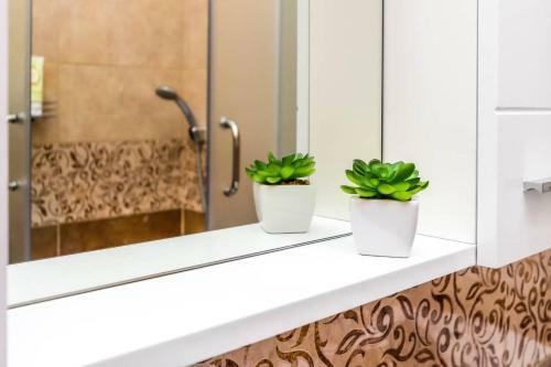 Apartman Marinero Ponta
