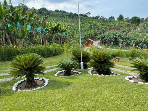 Bed & Breakfast Hacienda San Miguel Arcangel