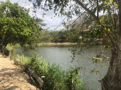 Ponylandia Campestre