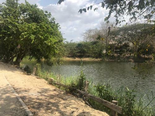 Ponylandia Campestre