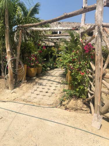 Ponylandia Campestre