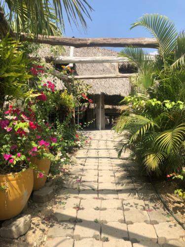 Ponylandia Campestre